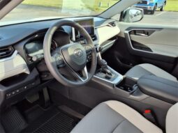 
 Toyota RAV4 full									