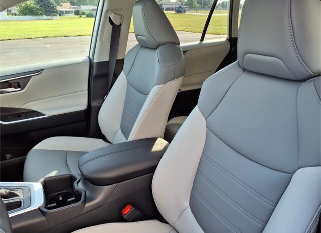 
 Toyota RAV4 full									