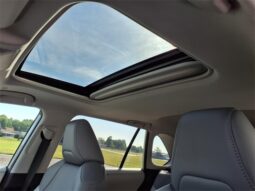 
 Toyota RAV4 full									