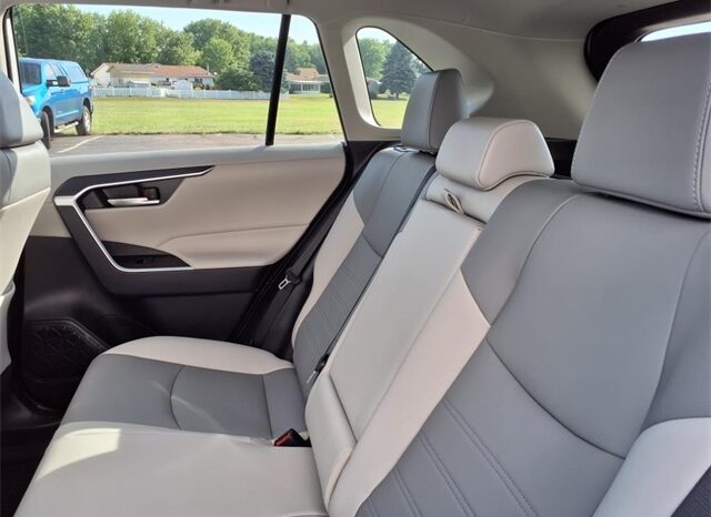 
 Toyota RAV4 full									