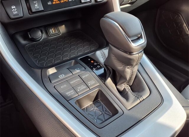 
 Toyota RAV4 full									