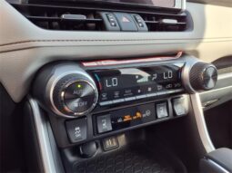 
 Toyota RAV4 full									