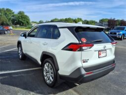
 Toyota RAV4 full									