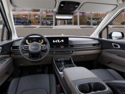 
 Kia Carnival full									