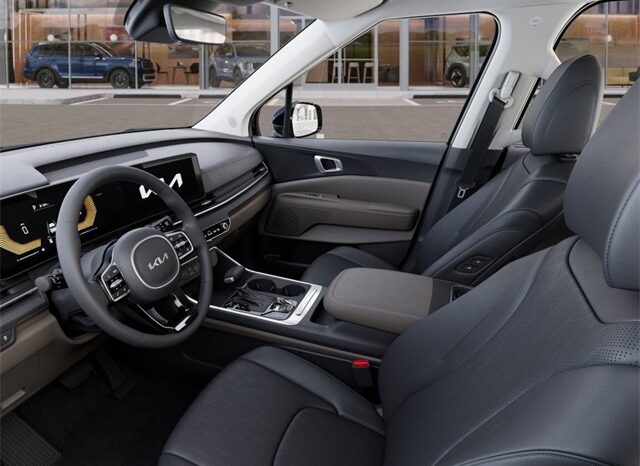 
 Kia Carnival full									