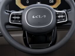 
 Kia Carnival full									