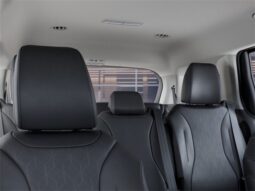 
 Kia Carnival full									
