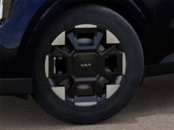
 Kia Carnival full									