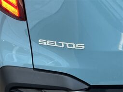 Kia Seltos full