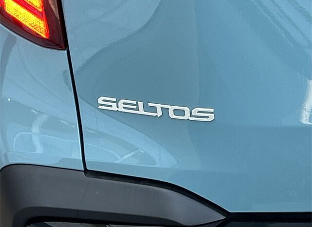 
 Kia Seltos full									