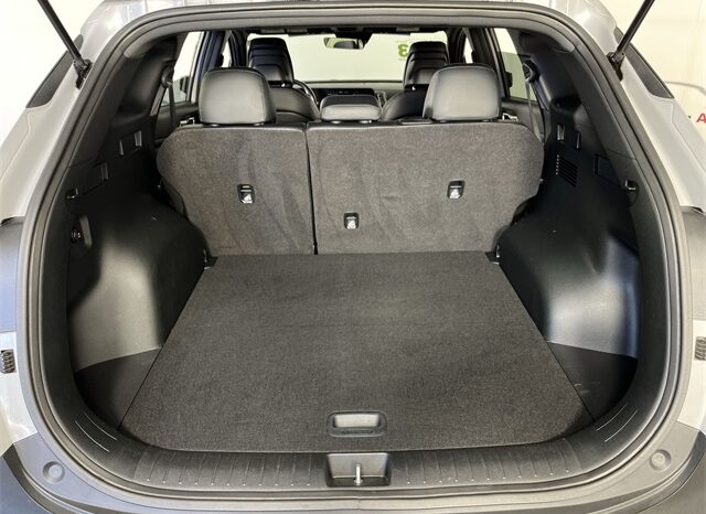 
 Kia Sportage full									