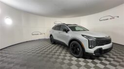
 Kia Sportage full									