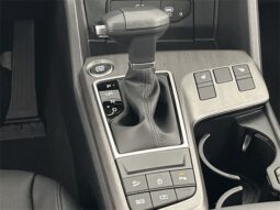 
 Kia Sportage full									