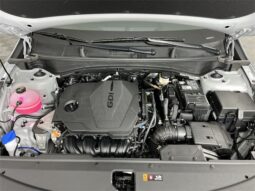 
 Kia Sportage full									