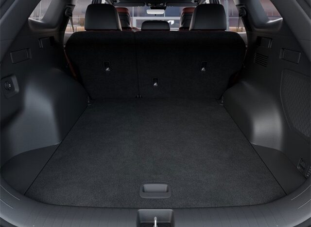 
 Kia Sportage full									