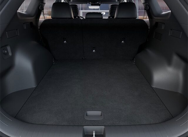 
 Kia Sportage full									