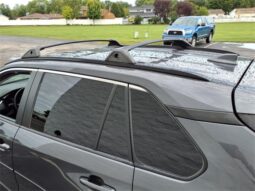 Toyota RAV4 full