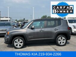 
										Jeep Renegade full									