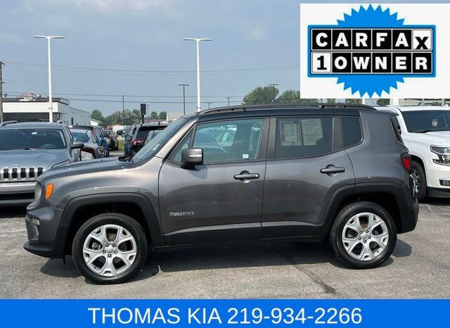 
								Jeep Renegade full									