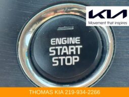 
										Kia Sedona full									