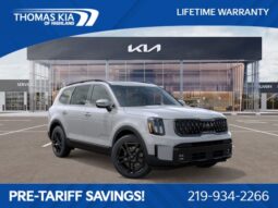 
										Kia Telluride full									
