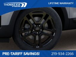
										Kia Telluride full									