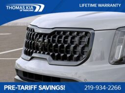 
										Kia Telluride full									