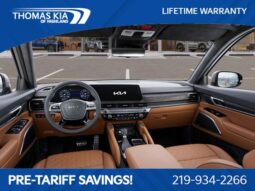 
										Kia Telluride full									