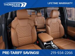 
										Kia Telluride full									
