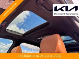 Kia Telluride full