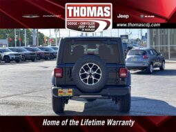 
 Jeep Wrangler full									