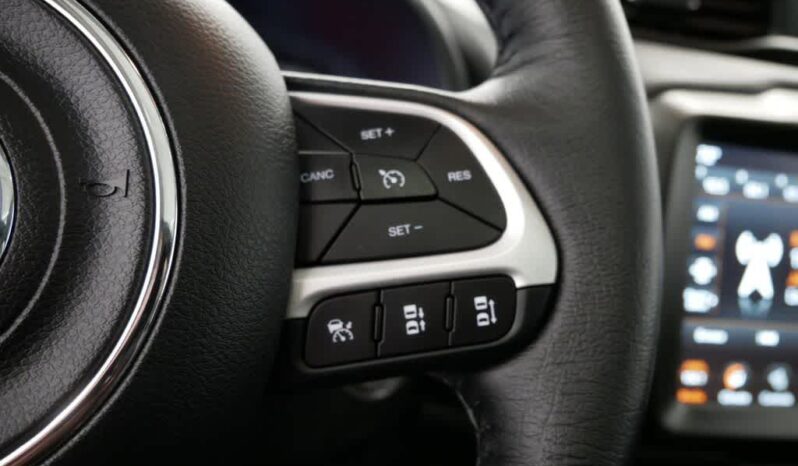 
 Jeep Renegade full									