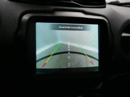 
 Jeep Renegade full									