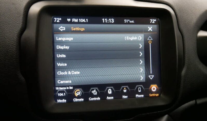 
 Jeep Renegade full									