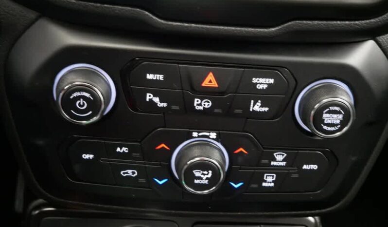 
 Jeep Renegade full									