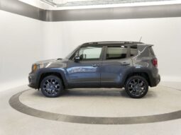 
 Jeep Renegade full									