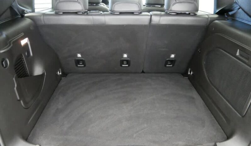 
 Jeep Renegade full									