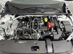 Nissan Sentra full