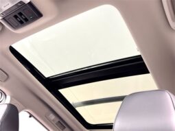 
										Nissan Pathfinder full									