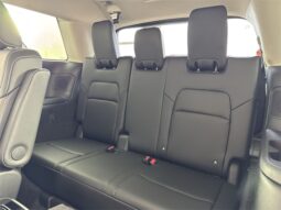 
										Nissan Pathfinder full									