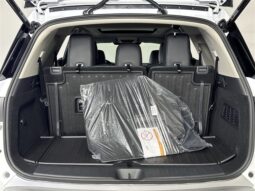 
										Nissan Pathfinder full									