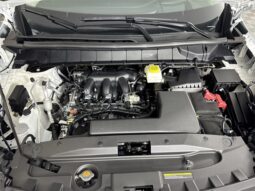 
										Nissan Pathfinder full									