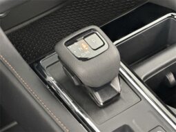 
										Nissan Pathfinder full									