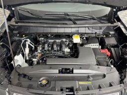 
										Nissan Pathfinder full									