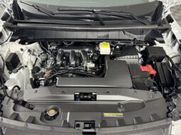 
										Nissan Pathfinder full									