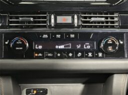 
 Nissan Pathfinder full									
