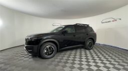 
 Nissan Pathfinder full									