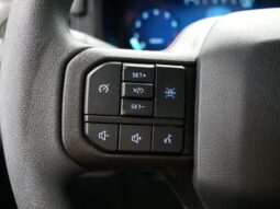 
										Ford F-150 full									