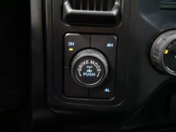 
										Ford F-150 full									