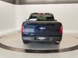 
										Ford F-150 full									